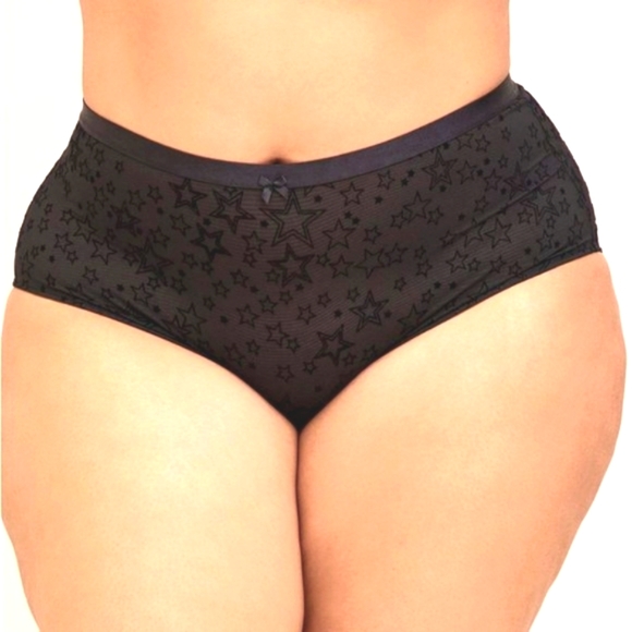 ❤️NWT VINTAGE TORRID SHEER MESH BUM BRIEF PANTY STAR PRINT LINGERIE PLUS SIZE 4X - Picture 2 of 9